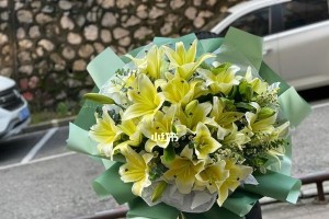 百合花开花温度多少度？（探讨百合花开花温度的影响因素）