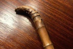 如何选择罗汉竹的放置位置？（从阳光、温度、湿度等角度出发，为您解析罗汉竹的最佳位置）