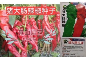青椒籽能否种植？（探讨青椒籽的生长状况和种植方法）