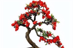 如何修剪长寿冠海棠？（打造健康树形，促进开花结果）