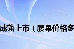 腰果成熟时间的探究（从果树到果实，了解腰果的成熟过程）