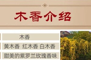 红木香耐寒温度分析（探究红木香的耐寒极限及适宜气候条件）