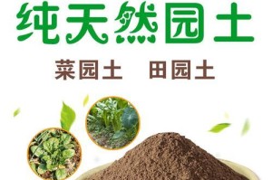 枫树种植（了解如何配制适宜枫树生长的土壤，打造健康树木）