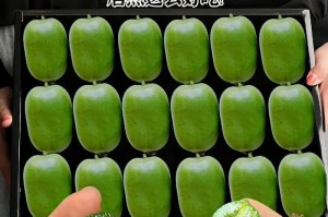 软枣猕猴桃可以带皮吃吗？解析真相！