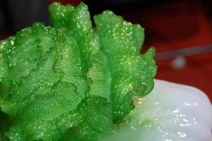 腊月农事（腊月底土壤适宜种植常见蔬菜应该种什么？）
