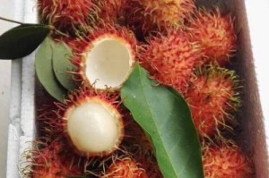 红毛丹——南国美味果品（季节上市与营养价值）