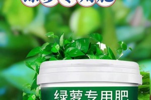 绿萝黄叶原因及解决方法（为什么绿萝叶子会变黄？如何有效解决？）