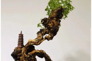 黄荆盆景修剪技巧（教你如何修剪黄荆盆景打造美丽的小树）