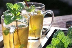 如何正确浇水给薄荷（掌握正确的浇水方法，让薄荷健康生长）