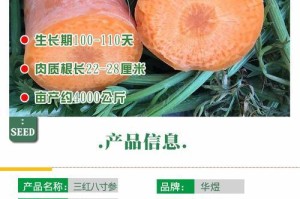 胡萝卜果实还是蔬菜？（探讨胡萝卜的分类和特征）