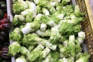 儿菜四季常青，不停季节轮换品尝美味（一年能种几茬？如何种植？儿菜的营养价值和药用价值）