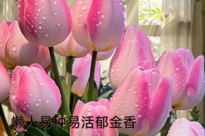 郁金香盆栽栽培技巧（如何在花盆里种植郁金香？种植花卉，要注意什么？）