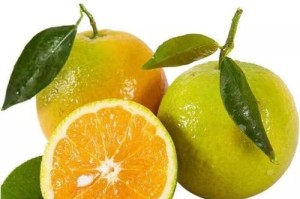 夏橙成熟期（观察夏橙成熟的迹象及如何收获）