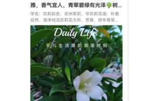 冬季非洲茉莉的养护指南（从营养、浇水到环境，全面了解冬季非洲茉莉的养护方法）