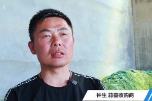 新鲜蒜正式上市，六月份成熟收获（农家的春夏时节必备，清爽独特的口感与丰富的营养价值！）