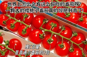 如何保存圣女果？（储存时间长的技巧）
