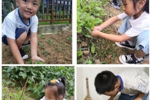 从桃子种子到繁茂桃树的种植技巧（掌握关键步骤，让桃树绽放生机）