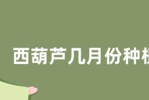 种植葫芦的最佳月份（选择正确的时间，让葫芦更好地生长）