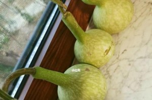 西葫芦（为什么要去皮？如何去皮？西葫芦去皮的技巧与注意事项）
