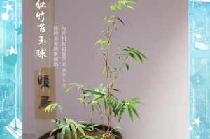 以观音竹繁殖的方法与技巧（掌握观音竹繁殖的关键，打造美丽绿色家园）