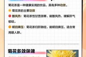 多头菊花的养护秘籍（打造盛开绚丽的多头菊花花坛）