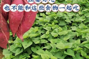 红薯开花了还能吃吗？