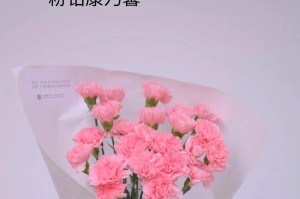 康乃馨种植全攻略（适合什么季节种植康乃馨？如何种植、管理、养护？）