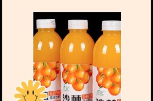 探秘沙棘的美妙味道（从口感到香气全方位解读）