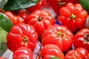 巴西红果多少年结果实？——种植技巧与成果展示