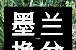 墨兰换土换盆全攻略（打造健康美丽的墨兰植株）