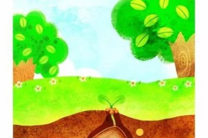 苹果种子的育苗技巧（从种子到果树，让苹果种子发芽的方法和注意事项）