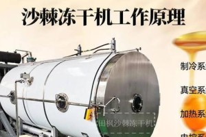 如何正确冷冻保存沙棘果？（沙棘果保存小技巧，让你每天都能享受果实的美味）