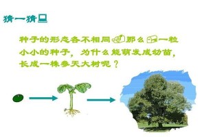 莲子的生长过程与结构剖析（探究莲子的形成过程和构造特征，揭秘莲子的生命奥秘）