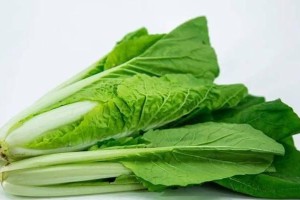 娃娃菜和白菜的区别与联系（一探究竟，它们到底是不是同一种菜？）