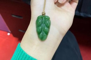 如何处理碧玉叶子发黄问题（用正确的方法让碧玉恢复青翠）
