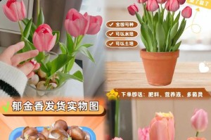 郁金香种子的种植时间选择（最佳种植时间和方法，让你的郁金香开花更美丽）