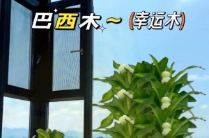 家庭养护指南（快乐种植，享受绿色生活）