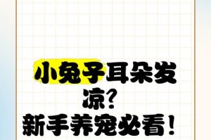 冬天养护千兔耳的秘诀（寒冷冬季，如何给千兔耳提供适宜的生长环境？）