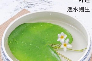 一叶莲的开花时间和花期（了解一叶莲开花的奥秘，让你成为花卉达人）