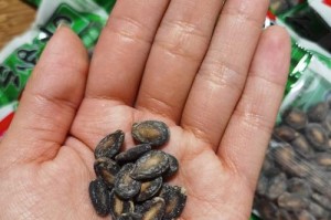 哪里产的瓜子最好？（探寻瓜子产地的秘密与优劣比较）