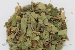 探秘鸡骨草的几个品种（了解鸡骨草的不同特点，选择适合自己的品种）