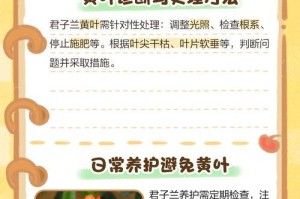 墨兰花叶子发黄的原因与解决方法（墨兰花叶子发黄，你需要这些护理技巧）