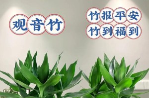 用土养节节高，健康成长不用愁（打造健康生态环境，培育优质生长状态）
