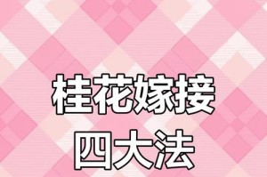 以嫁接的桂花主干加粗技术（实现桂花主干加粗的关键技巧和方法）