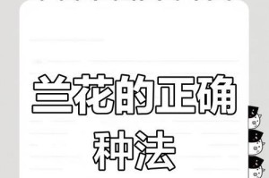 栽种兰花的透气技巧（打造兰花的理想生长环境）