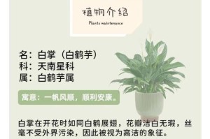 怎样处理白鹤芋花烂了的问题（遇到白鹤芋花烂掉，如何妥善处理？）