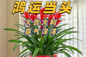 鸿运当头——探秘神奇植物（探寻鸿运当头的起源、生长环境和药用价值）
