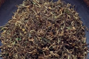 了解金银花的生长规律及应对方法（了解金银花的生长规律及应对方法）