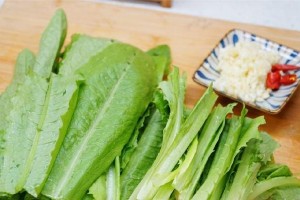 油麦菜的根茎可以食用吗？（探讨油麦菜根茎的食用价值和注意事项）
