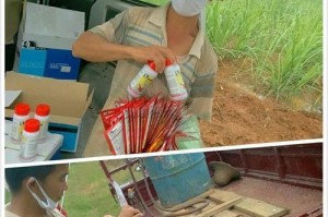 甘蔗治疗疾病：甘蔗药剂的制作和应用